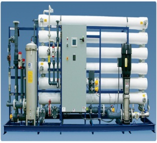 Drinking Water Plants